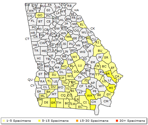 The Georgia range of Taxodium distichum